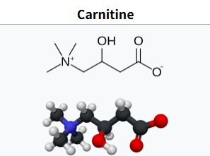 L-Carnitine